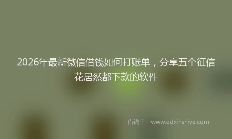 2026年最新微信借钱如何打账单，分享五个征信花居然都下款的软件