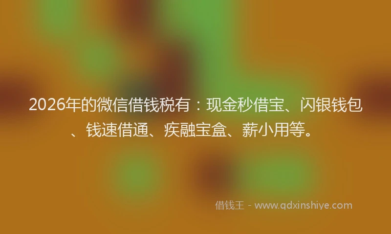 2026年的微信借钱税有：现金秒借宝、闪银钱包、钱速借通、疾融宝盒、薪小用等。