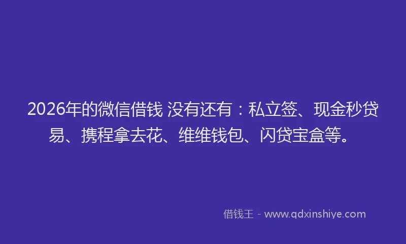 2026年的微信借钱 没有还有：私立签、现金秒贷易、携程拿去花、维维钱包、闪贷宝盒等。