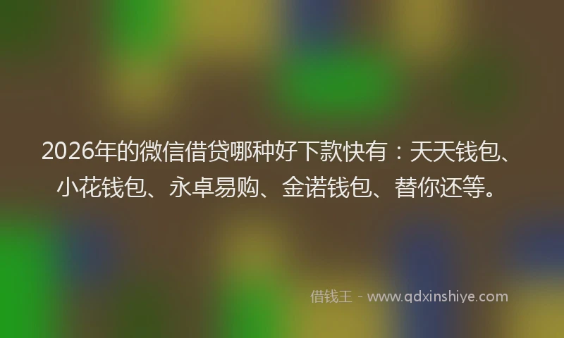 2026年的微信借贷哪种好下款快有：天天钱包、小花钱包、永卓易购、金诺钱包、替你还等。