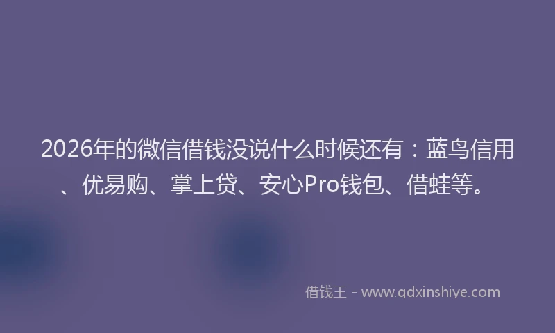 2026年的微信借钱没说什么时候还有：蓝鸟信用、优易购、掌上贷、安心Pro钱包、借蛙等。