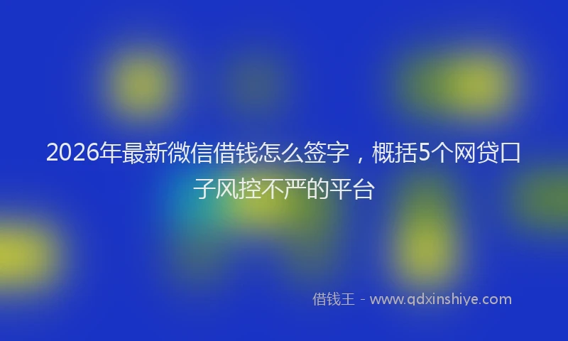 2026年最新微信借钱怎么签字，概括5个网贷口子风控不严的平台