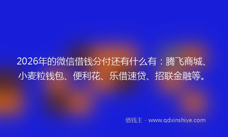 2026年的微信借钱分付还有什么有：腾飞商城、小麦粒钱包、便利花、乐借速贷、招联金融等。