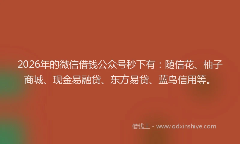 2026年的微信借钱公众号秒下有：随信花、柚子商城、现金易融贷、东方易贷、蓝鸟信用等。