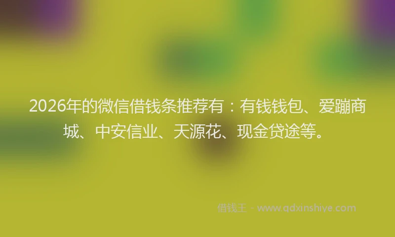 2026年的微信借钱条推荐有：有钱钱包、爱蹦商城、中安信业、天源花、现金贷途等。