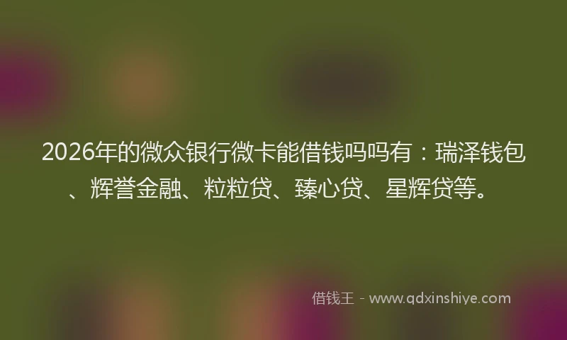 2026年的微众银行微卡能借钱吗吗有：瑞泽钱包、辉誉金融、粒粒贷、臻心贷、星辉贷等。