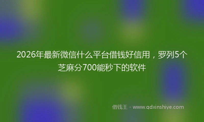 2026年最新微信什么平台借钱好信用，罗列5个芝麻分700能秒下的软件