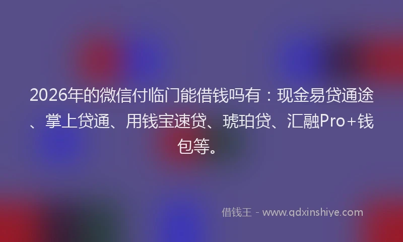 2026年的微信付临门能借钱吗有：现金易贷通途、掌上贷通、用钱宝速贷、琥珀贷、汇融Pro+钱包等。