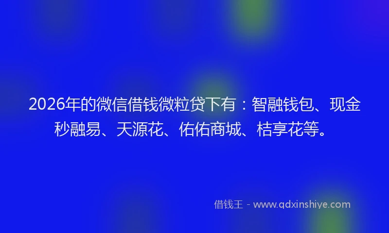 2026年的微信借钱微粒贷下有：智融钱包、现金秒融易、天源花、佑佑商城、桔享花等。