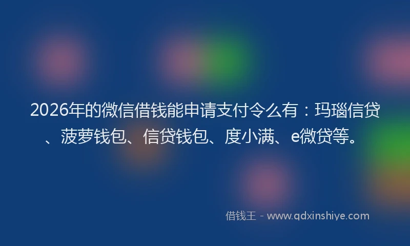2026年的微信借钱能申请支付令么有：玛瑙信贷、菠萝钱包、信贷钱包、度小满、e微贷等。