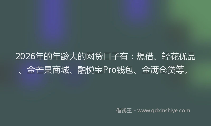 2026年的年龄大的网贷口子有：想借、轻花优品、金芒果商城、融悦宝Pro钱包、金满仓贷等。