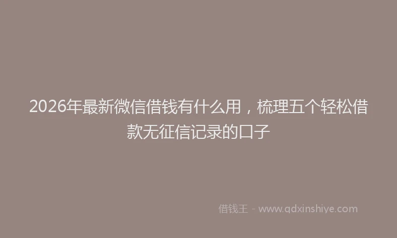 2026年最新微信借钱有什么用，梳理五个轻松借款无征信记录的口子