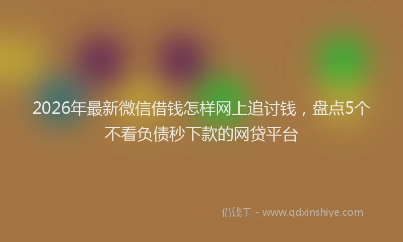 2026年最新微信借钱怎样网上追讨钱，盘点5个不看负债秒下款的网贷平台