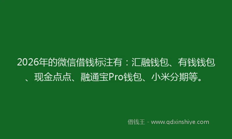 2026年的微信借钱标注有：汇融钱包、有钱钱包、现金点点、融通宝Pro钱包、小米分期等。