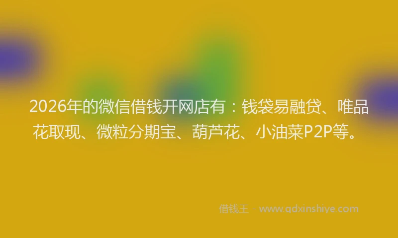 2026年的微信借钱开网店有：钱袋易融贷、唯品花取现、微粒分期宝、葫芦花、小油菜P2P等。