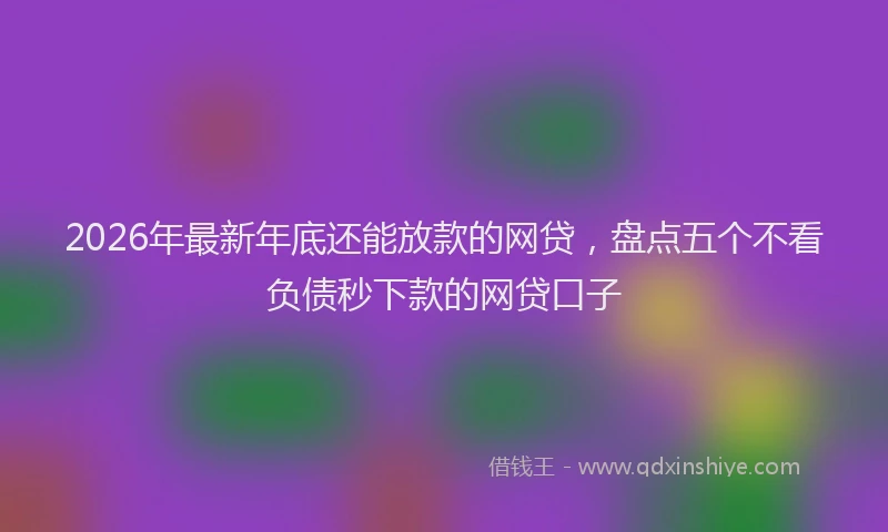 2026年最新年底还能放款的网贷，盘点五个不看负债秒下款的网贷口子