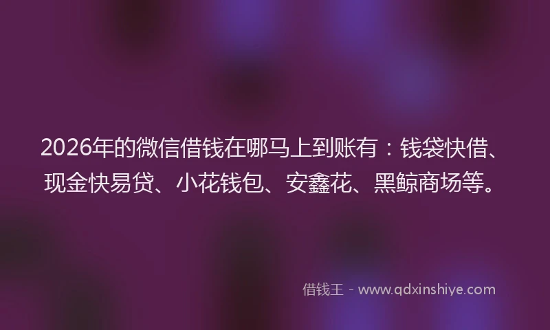 2026年的微信借钱在哪马上到账有：钱袋快借、现金快易贷、小花钱包、安鑫花、黑鲸商场等。