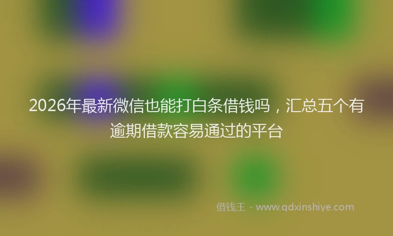 2026年最新微信也能打白条借钱吗，汇总五个有逾期借款容易通过的平台