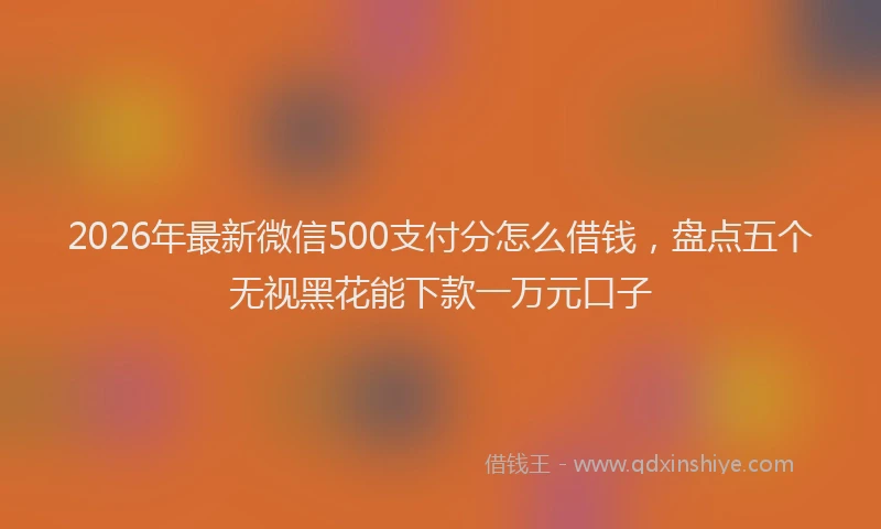 2026年最新微信500支付分怎么借钱，盘点五个无视黑花能下款一万元口子