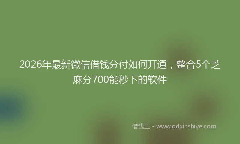 2026年最新微信借钱分付如何开通，整合5个芝麻分700能秒下的软件
