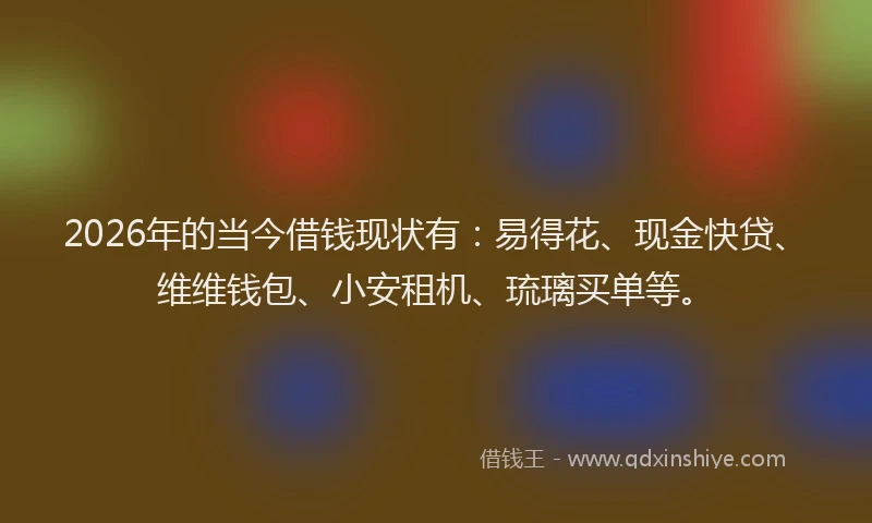 2026年的当今借钱现状有：易得花、现金快贷、维维钱包、小安租机、琉璃买单等。