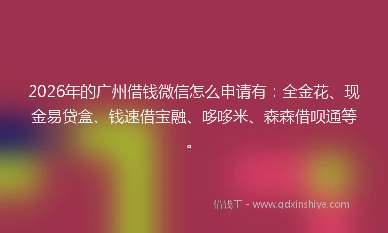 2026年的广州借钱微信怎么申请有：全金花、现金易贷盒、钱速借宝融、哆哆米、森森借呗通等。
