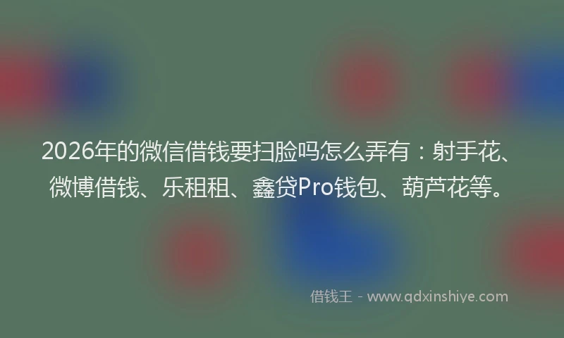 2026年的微信借钱要扫脸吗怎么弄有：射手花、微博借钱、乐租租、鑫贷Pro钱包、葫芦花等。