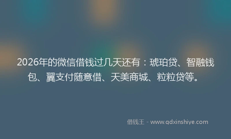 2026年的微信借钱过几天还有：琥珀贷、智融钱包、翼支付随意借、天美商城、粒粒贷等。