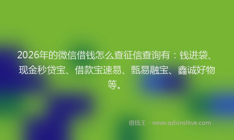 2026年的微信借钱怎么查征信查询有：钱进袋、现金秒贷宝、借款宝速易、甄易融宝、鑫诚好物等。