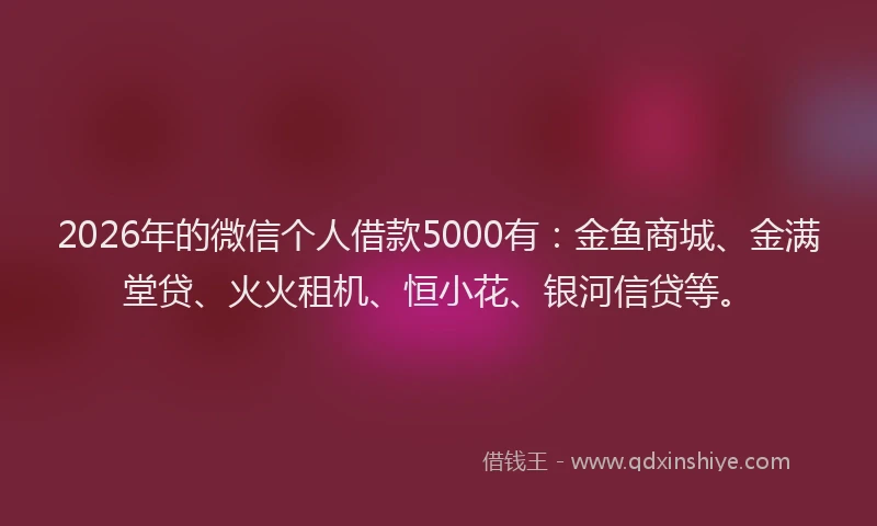 2026年的微信个人借款5000有：金鱼商城、金满堂贷、火火租机、恒小花、银河信贷等。