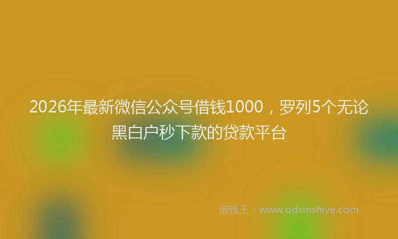 2026年最新微信公众号借钱1000，罗列5个无论黑白户秒下款的贷款平台