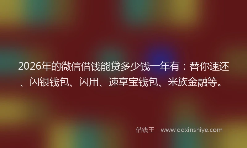 2026年的微信借钱能贷多少钱一年有：替你速还、闪银钱包、闪用、速享宝钱包、米族金融等。