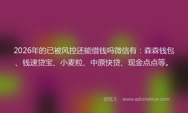 2026年的已被风控还能借钱吗微信有：森森钱包、钱速贷宝、小麦粒、中原快贷、现金点点等。