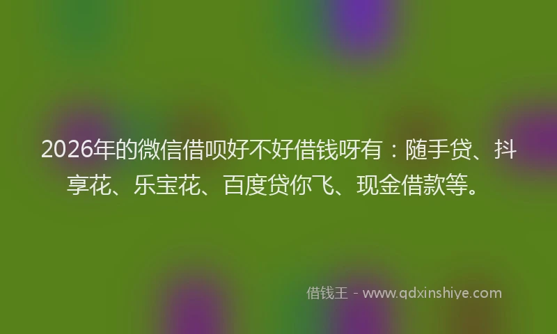2026年的微信借呗好不好借钱呀有：随手贷、抖享花、乐宝花、百度贷你飞、现金借款等。