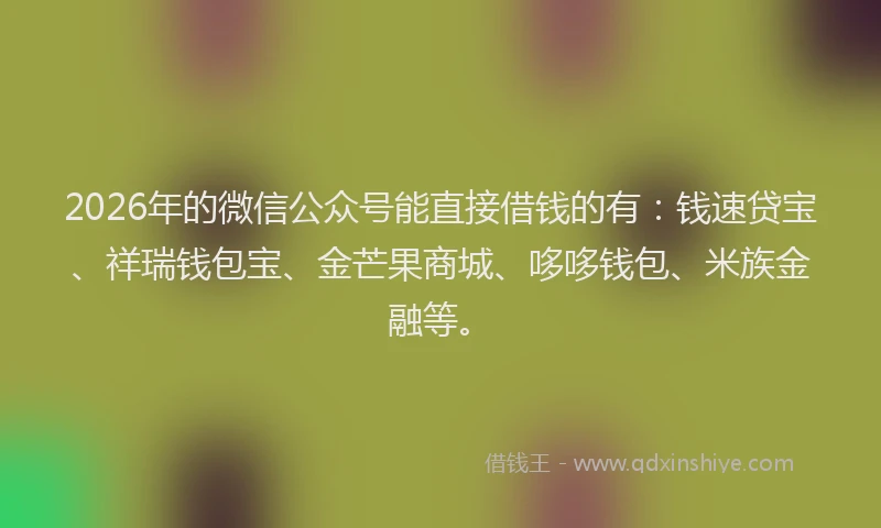 2026年的微信公众号能直接借钱的有：钱速贷宝、祥瑞钱包宝、金芒果商城、哆哆钱包、米族金融等。