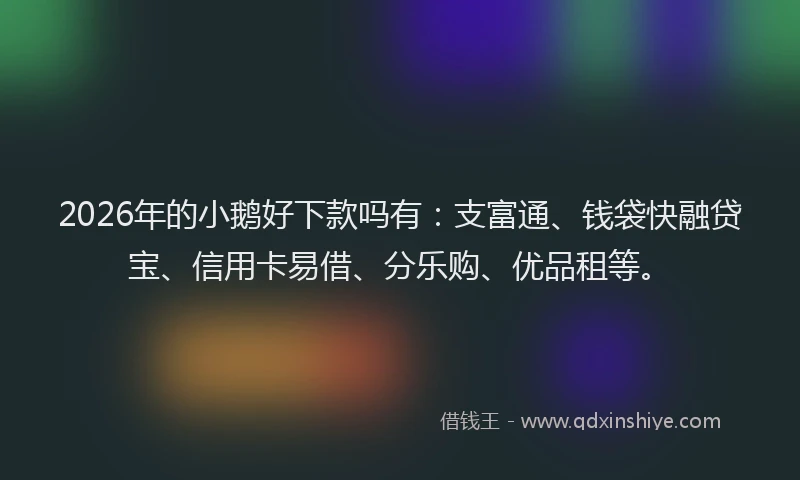 2026年的小鹅好下款吗有：支富通、钱袋快融贷宝、信用卡易借、分乐购、优品租等。
