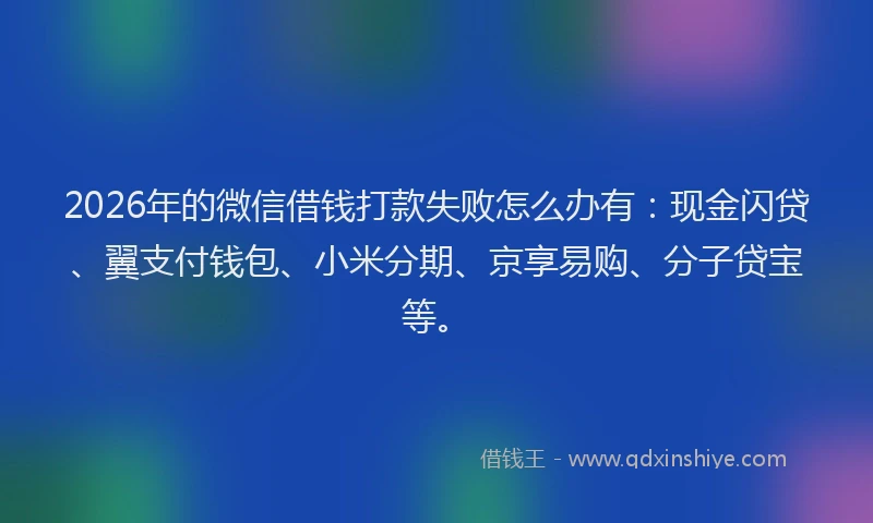 2026年的微信借钱打款失败怎么办有：现金闪贷、翼支付钱包、小米分期、京享易购、分子贷宝等。