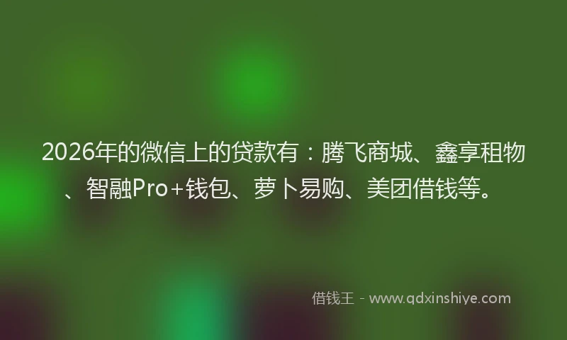 2026年的微信上的贷款有：腾飞商城、鑫享租物、智融Pro+钱包、萝卜易购、美团借钱等。
