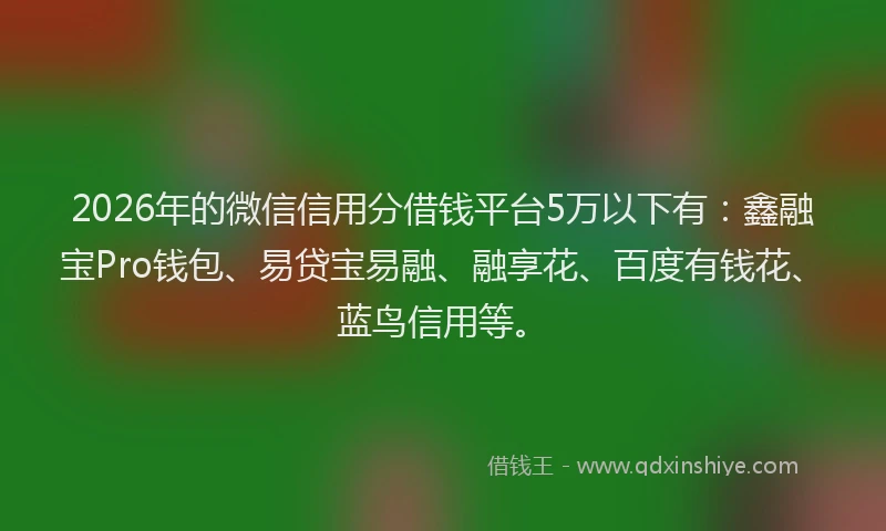 2026年的微信信用分借钱平台5万以下有：鑫融宝Pro钱包、易贷宝易融、融享花、百度有钱花、蓝鸟信用等。