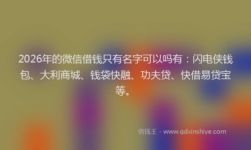 2026年的微信借钱只有名字可以吗有：闪电侠钱包、大利商城、钱袋快融、功夫贷、快借易贷宝等。