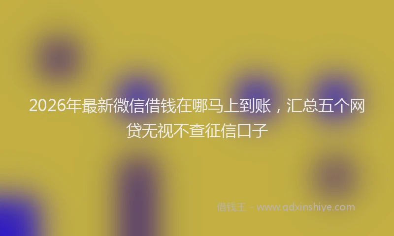 2026年最新微信借钱在哪马上到账，汇总五个网贷无视不查征信口子