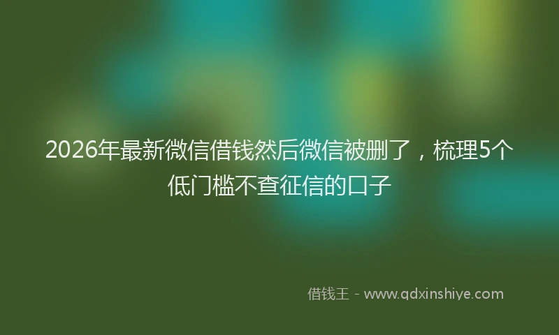 2026年最新微信借钱然后微信被删了，梳理5个低门槛不查征信的口子