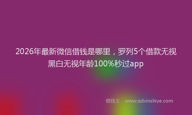 2026年最新微信借钱是哪里，罗列5个借款无视黑白无视年龄100%秒过app