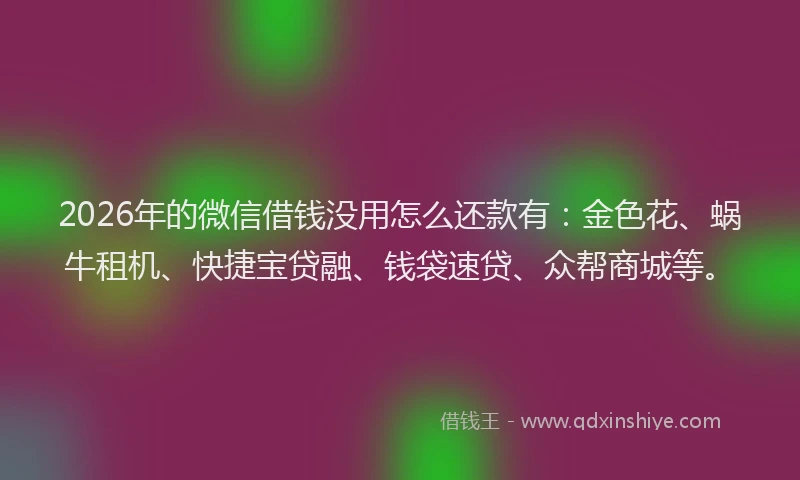 2026年的微信借钱没用怎么还款有：金色花、蜗牛租机、快捷宝贷融、钱袋速贷、众帮商城等。