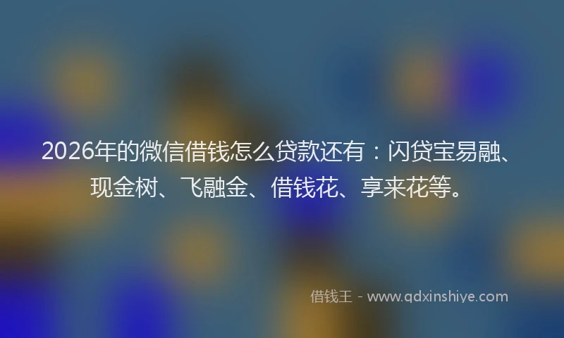 2026年的微信借钱怎么贷款还有：闪贷宝易融、现金树、飞融金、借钱花、享来花等。