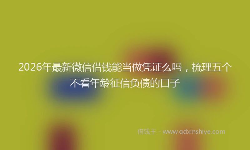 2026年最新微信借钱能当做凭证么吗，梳理五个不看年龄征信负债的口子
