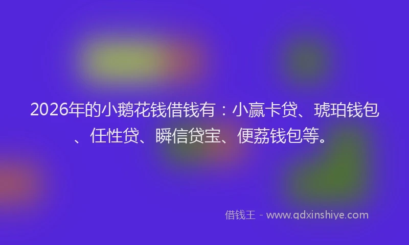 2026年的小鹅花钱借钱有：小赢卡贷、琥珀钱包、任性贷、瞬信贷宝、便荔钱包等。