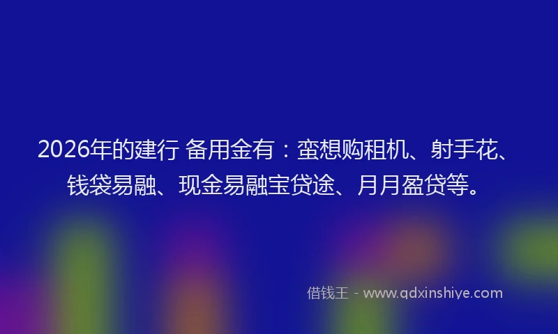2026年的建行 备用金有：蛮想购租机、射手花、钱袋易融、现金易融宝贷途、月月盈贷等。