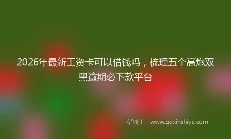 2026年最新工资卡可以借钱吗，梳理五个高炮双黑逾期必下款平台