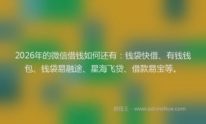 2026年的微信借钱如何还有：钱袋快借、有钱钱包、钱袋易融途、星海飞贷、借款易宝等。